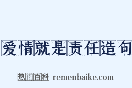 爱情就是责任造句是什么意思的图片